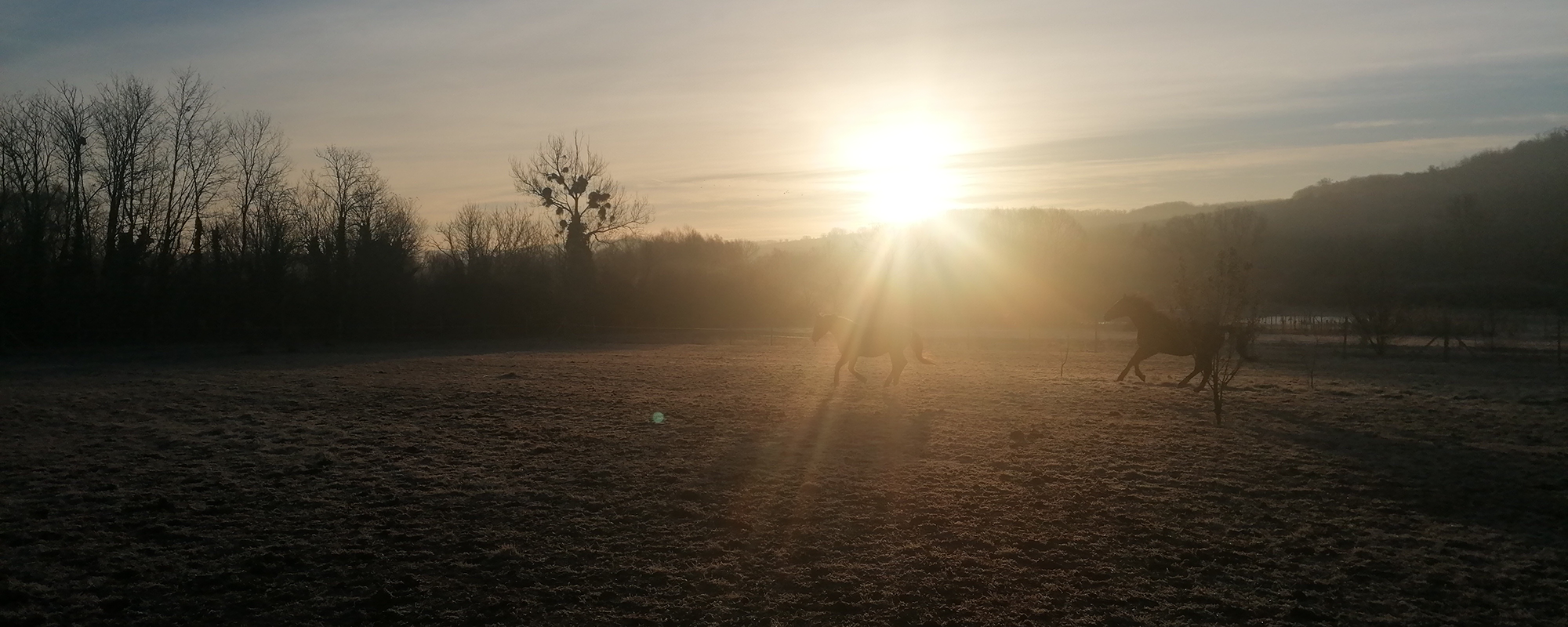 lovak_sunrise_vagta_2000