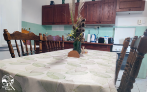 Minor Major Vendégház, lovak, program, Igali Gyógyfürdő