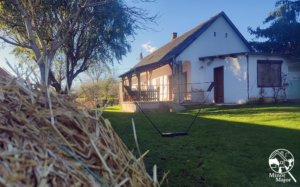 Minor Major Vendégház, lovak, program, Igali Gyógyfürdő