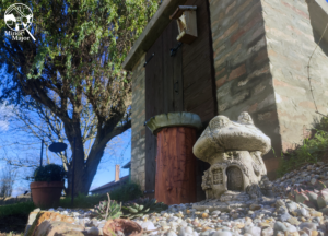 Minor Major Vendégház, lovak, program, Igali Gyógyfürdő