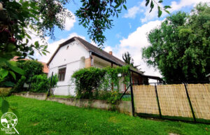 Minor Major Vendégház, lovak, program, Igali Gyógyfürdő