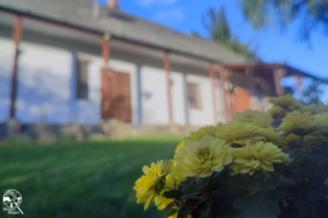 Minor Major Vendégház