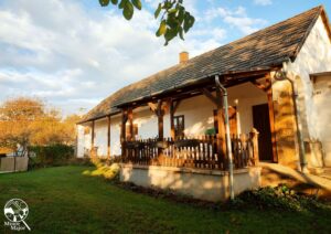 Minor Major Vendégház, lovak, program, Igali Gyógyfürdő