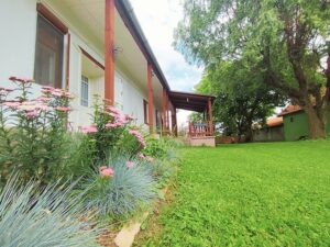 Minor Major Vendégház, lovak, program, Igali Gyógyfürdő